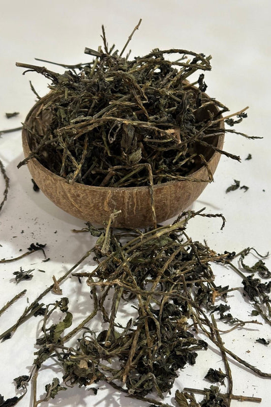 Blue Vervain