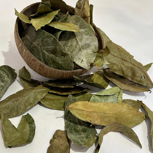 Soursop herbs