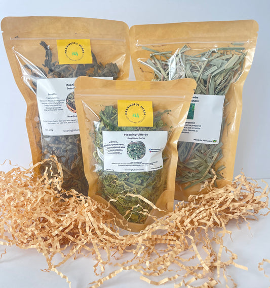 Yeast Infection Bundle Kit