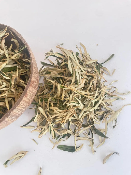 Wild Rosemary