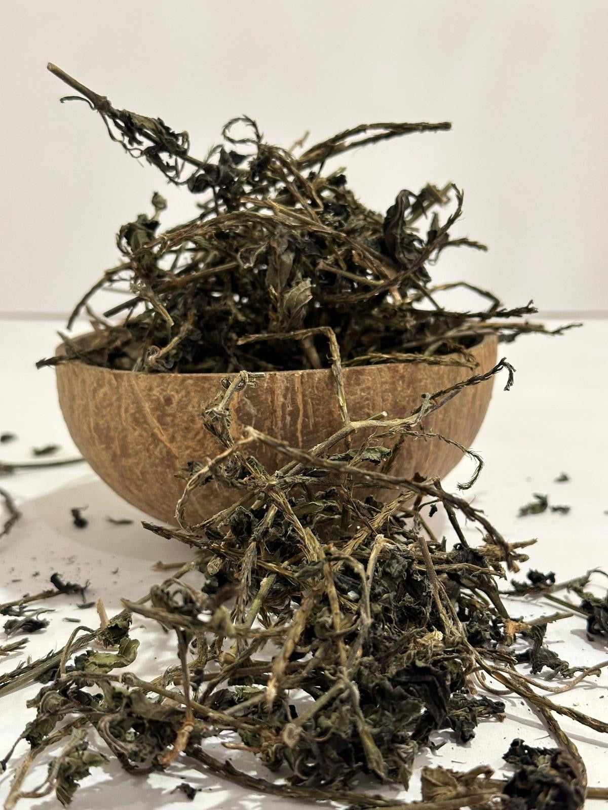 Blue Vervain
