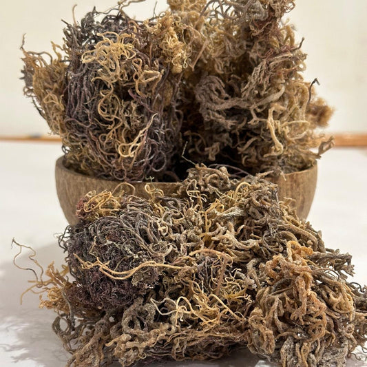 Sea Moss