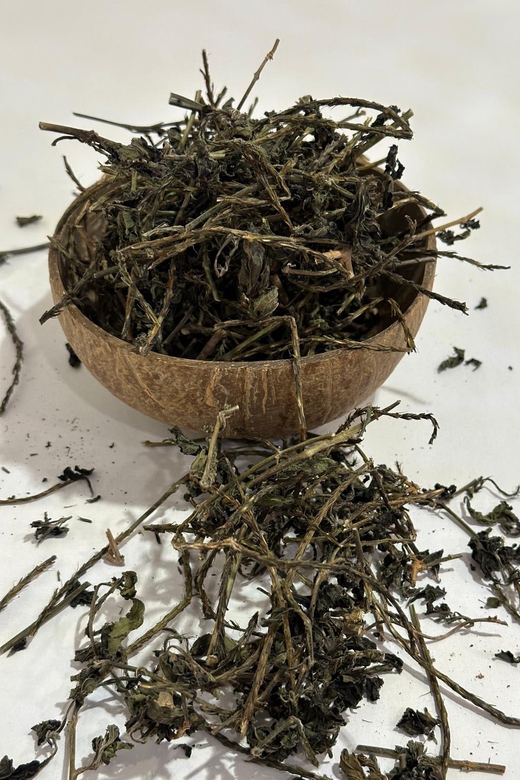 Blue Vervain