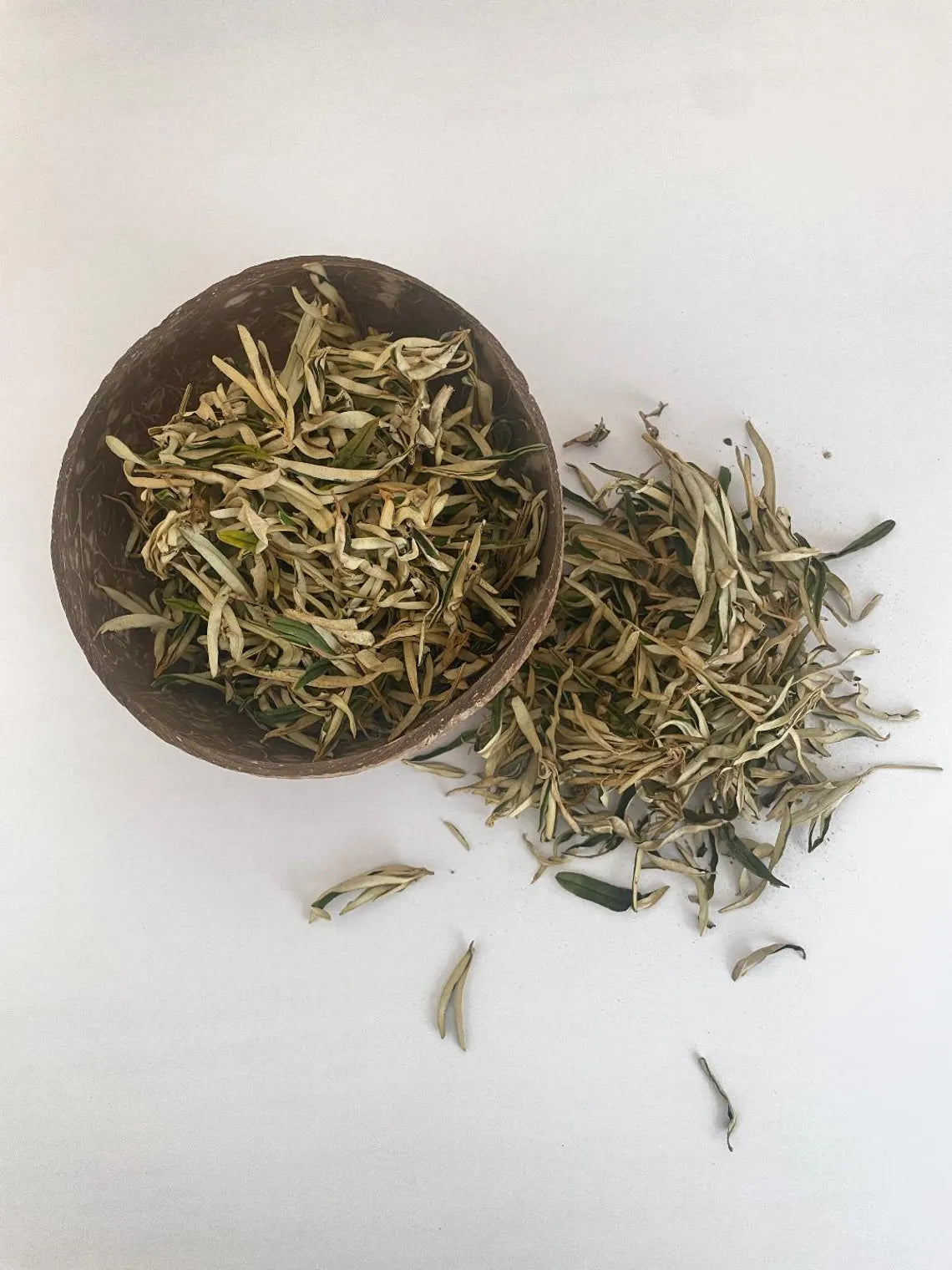 Wild Rosemary